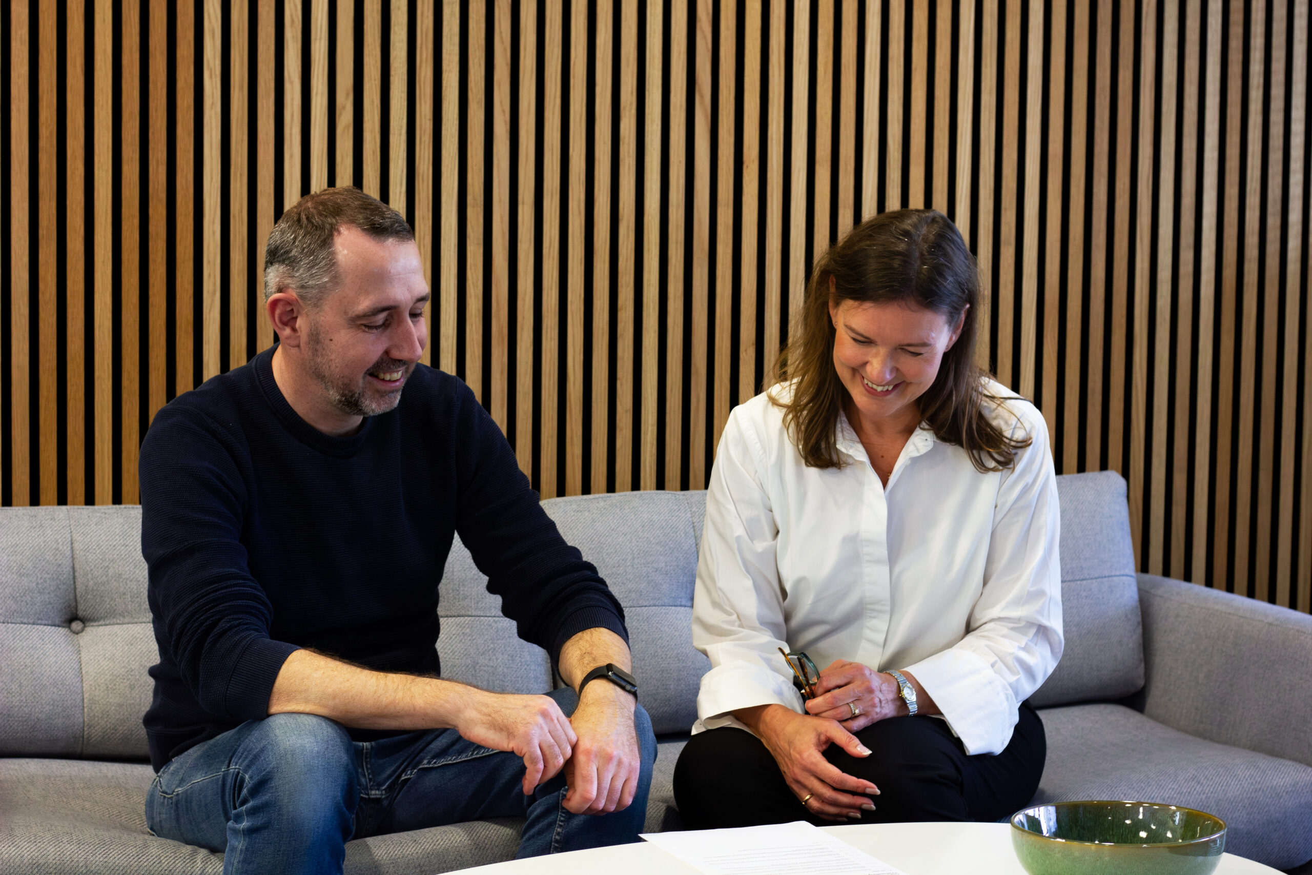 professionel oversættelse